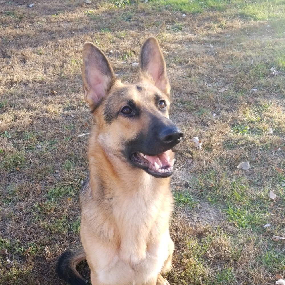 Meet your Posher, Beth